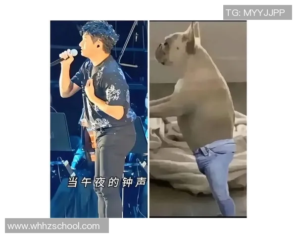 足球明星搞笑动漫形象大集合让你捧腹大笑的趣味瞬间