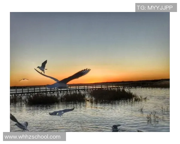 足球明星赛罗的电影:追逐梦想与荣耀的绿茵传奇 足球明星赛罗的电影:追逐梦想与荣耀的绿茵传奇